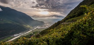 suedtirol-wein-anbaugebiet-bozen-und-umgebung-2