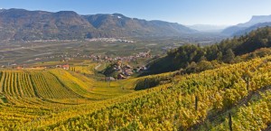 suedtirol-wein-anbaugebiet-mittleres-etschtal-1